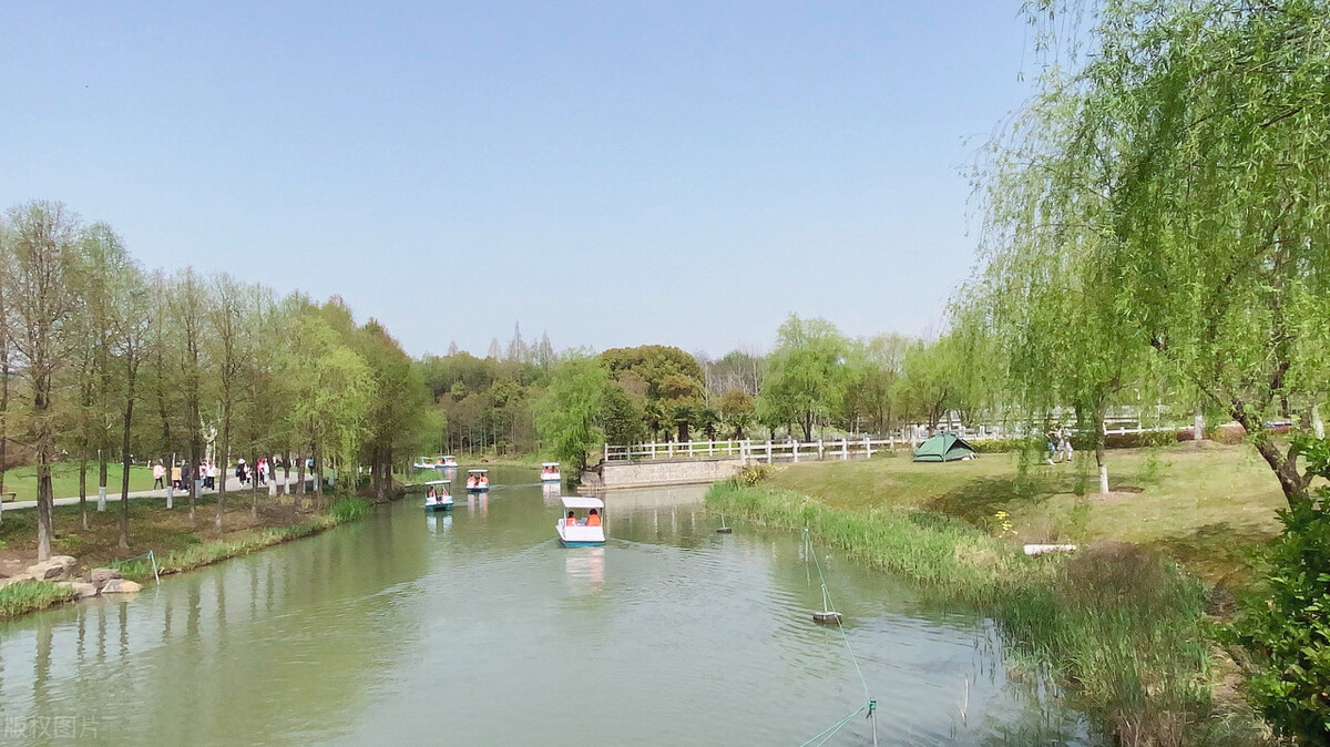 上海踏青2022,上海踏青最佳景点2021