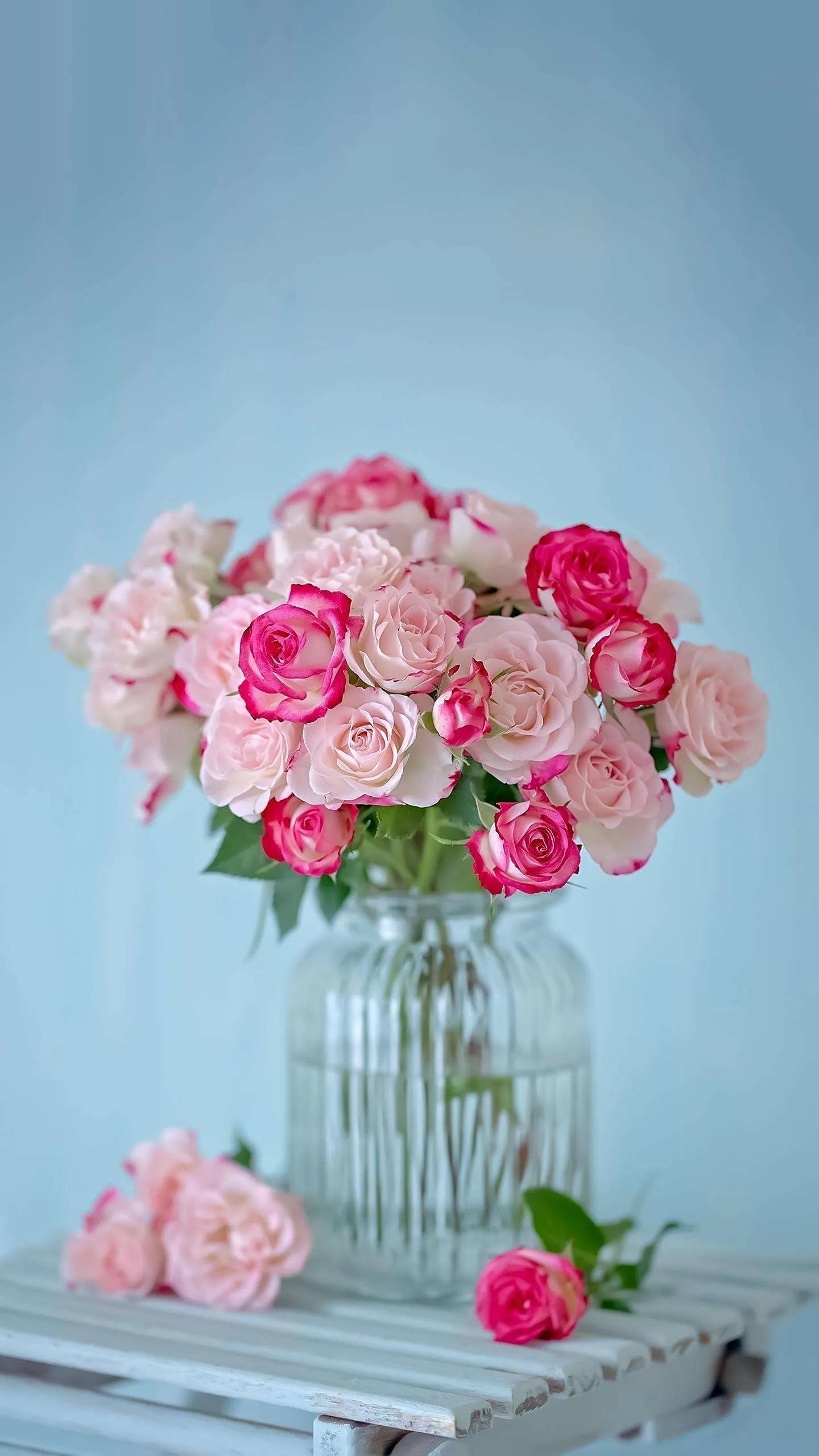 朋友说我想减肥怎么办,朋友问我减肥怎么瘦