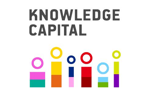 商业招商策略及解决方案,商业招商与运营方案