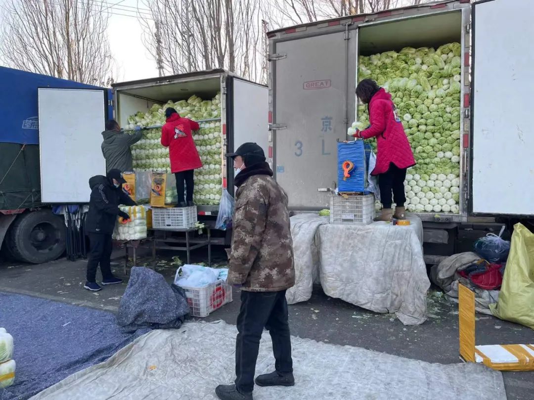 菜农伯伯与农业对话,蔬菜与大棚对话