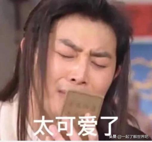 武林外传表情包图片大全,武林外传闭嘴吧你表情包