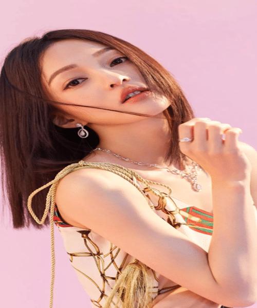 如花的容颜歌曲全集,12位貌美如花的女明星盛世美颜