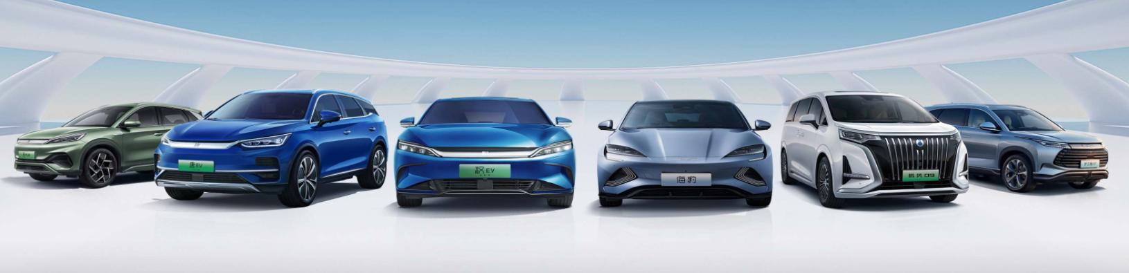 背单词全套教学视频,背单词全套教学