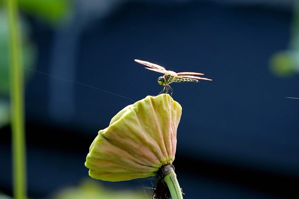 如果你感觉生活很累到底该怎么做,如果你感觉生活很累的时候英文