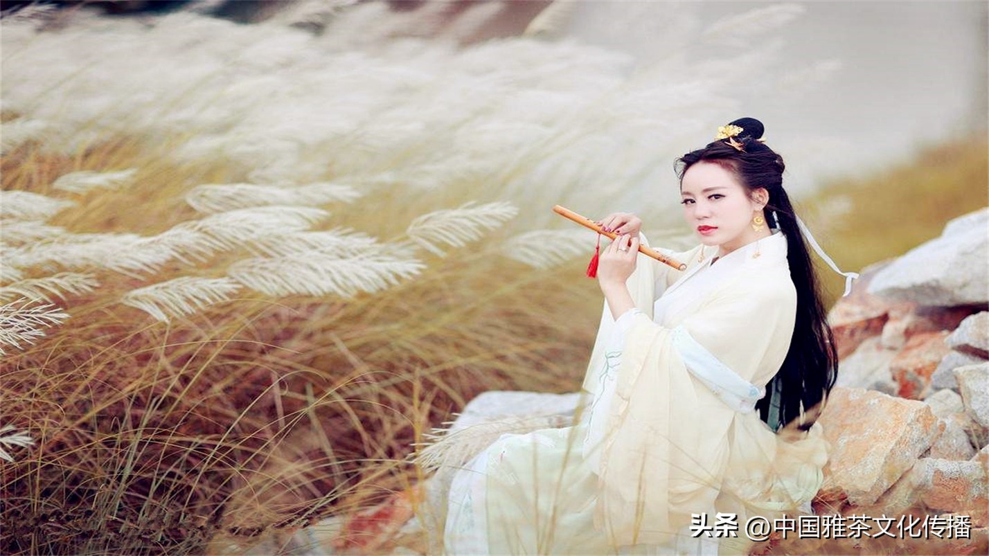 几缕茶香,一壶清茶几缕阳光几分优雅