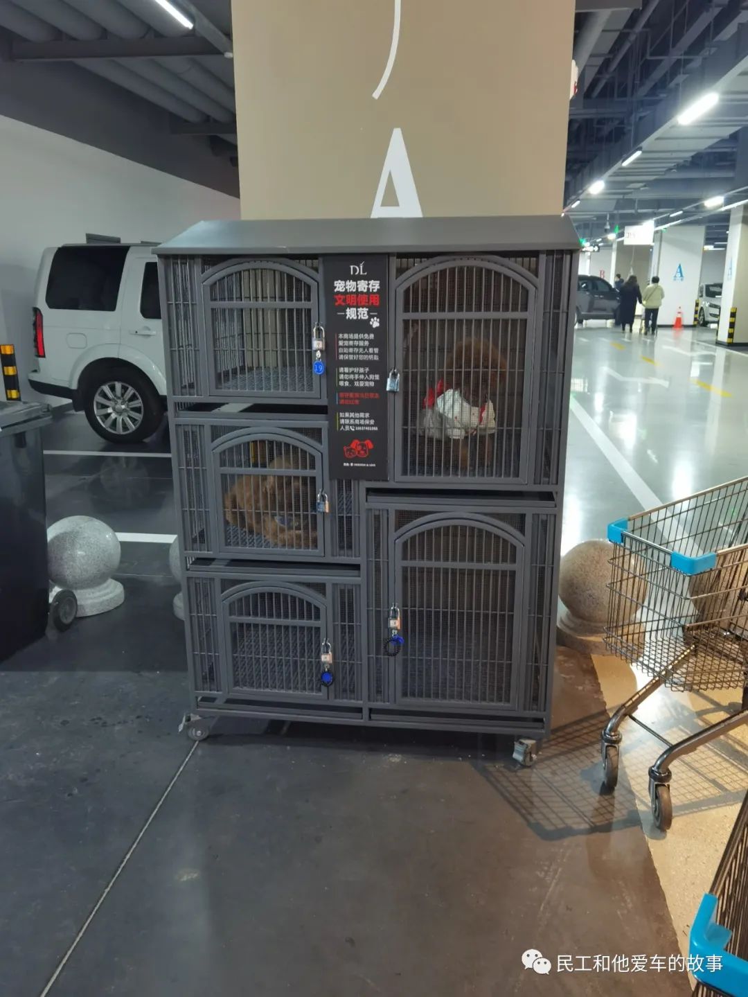 许昌胖东来天使城哪年开业的,来许昌胖东来去哪个店