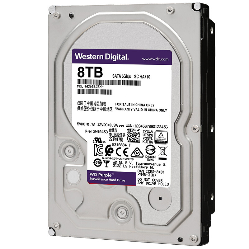 人类大脑内存相当于多少g,人类大脑记忆容量