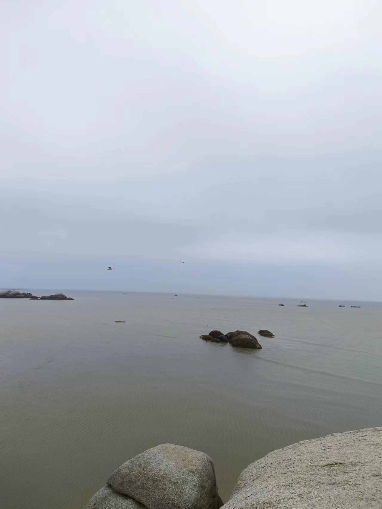 缤果预售价和实际价格,缤果有木有降价