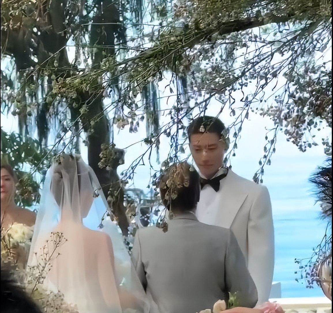 何超莲称婚礼是窦骁包办,何超莲窦骁婚礼获祝福