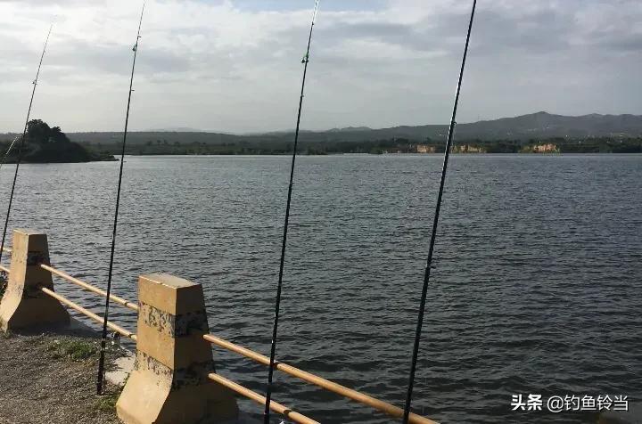 海竿、路亚竿和矶钓竿，这三种竿有什么区别？了解后就不会买错了