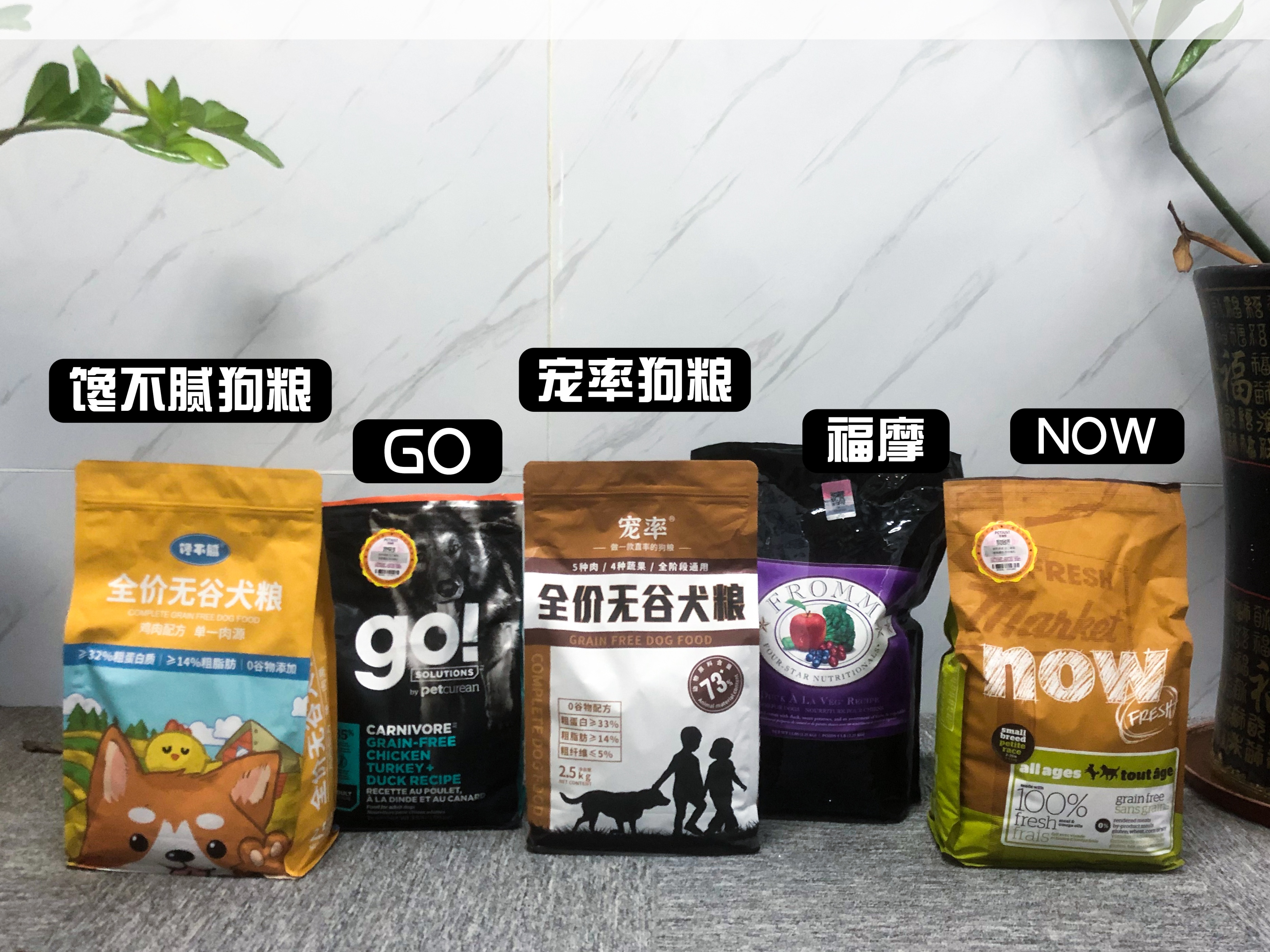 狗狗过于肥胖怎么减肥,帮助狗狗减肥的最佳方法