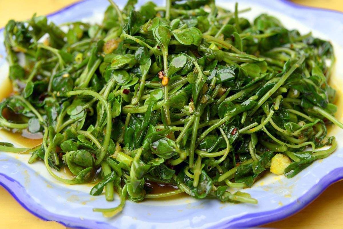 天津“8大名菜”有哪些？你吃过几种？网友：天津菜果然有一手