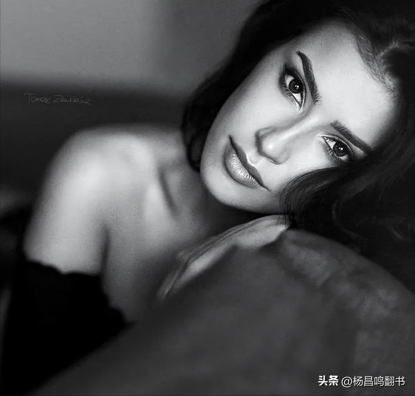 摄影纯色纸,摄影纯色