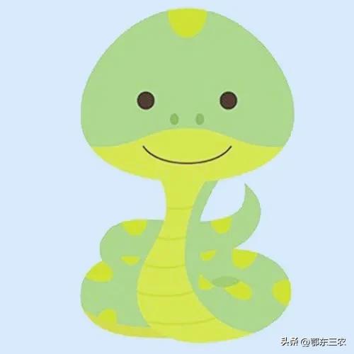 蛇的寿命是多长时间,蛇的寿命有多久