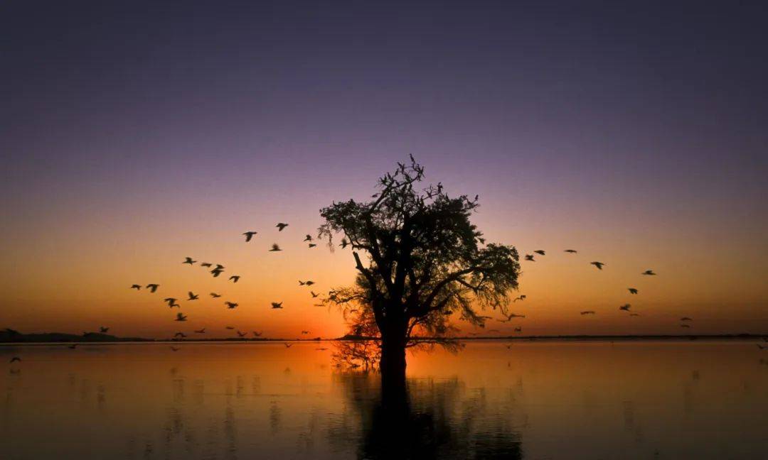 中国第18届国际摄影展入围作品,2021中国摄影艺术展获奖作品