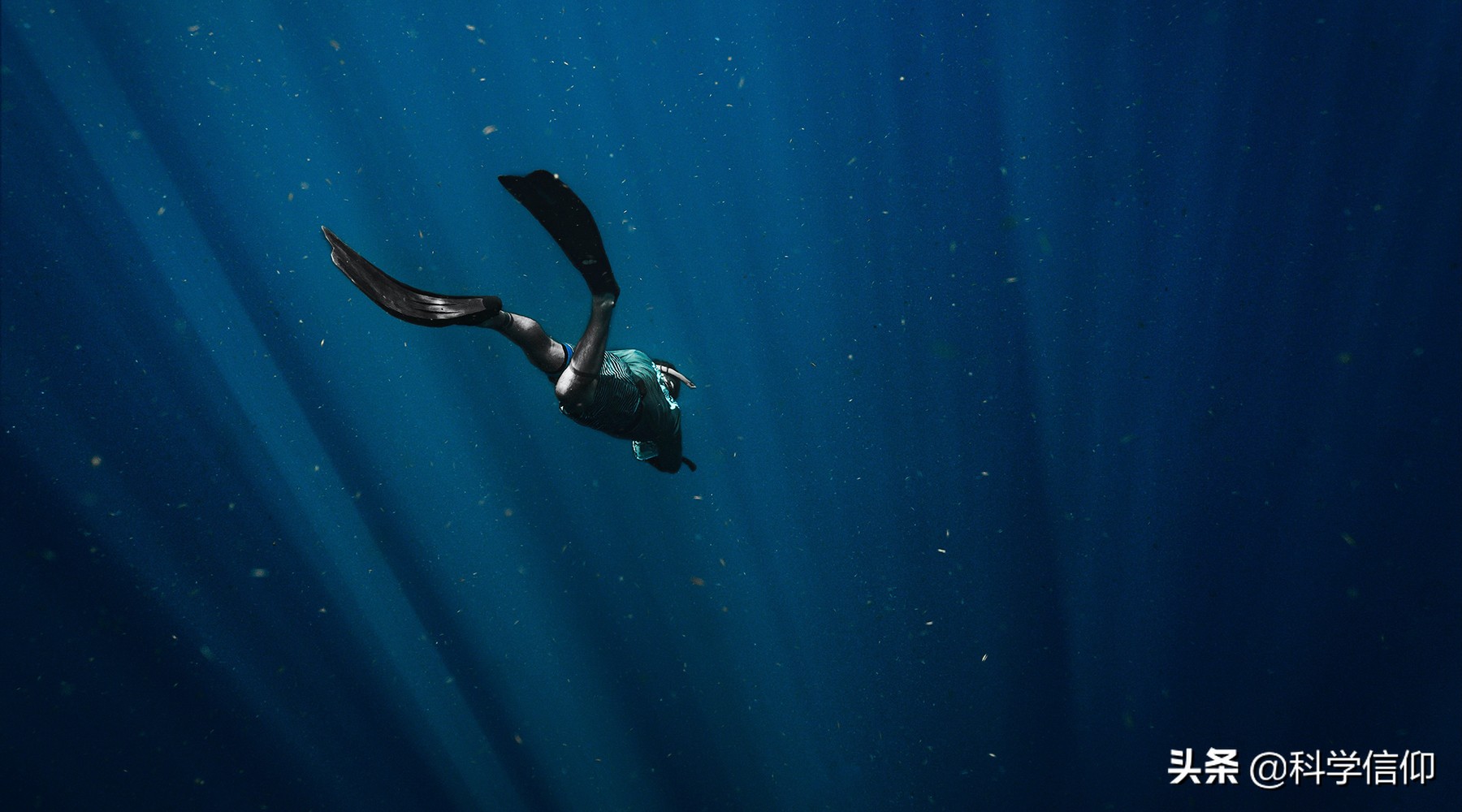 氮气没有参与呼吸作用,氮气可以用于呼吸吗