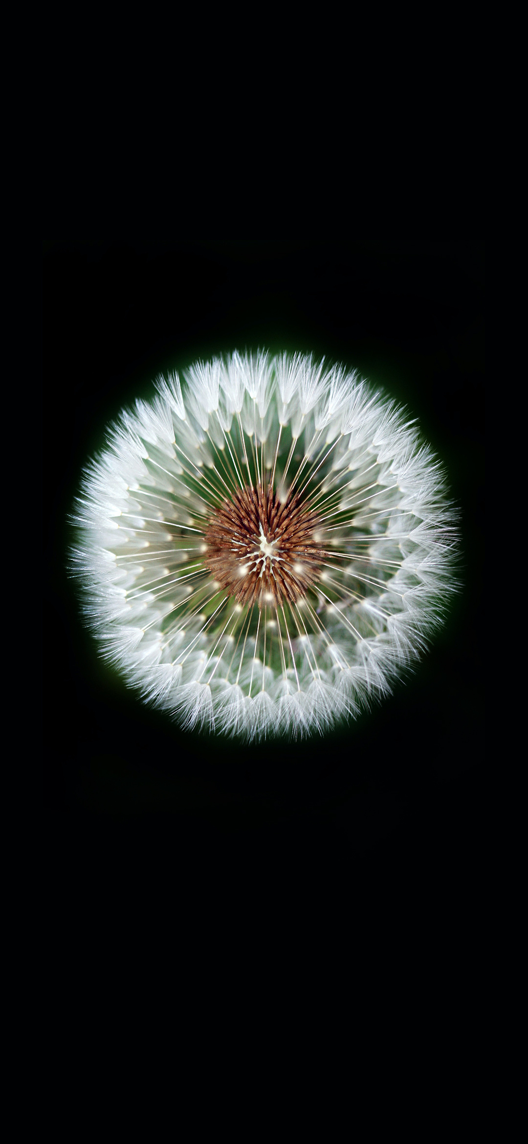 绝美高清手机壁纸唯美,绝美动漫手机壁纸高清