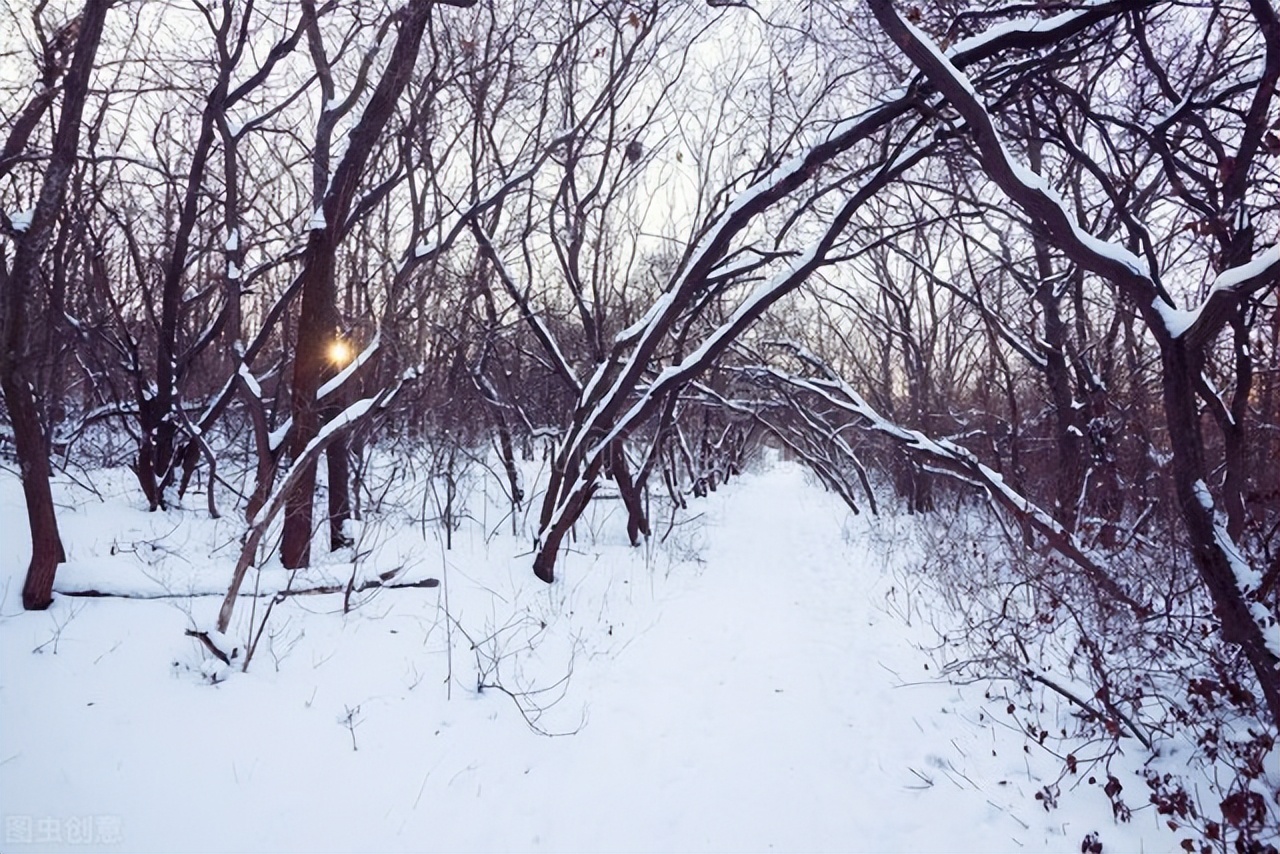 欲海浮沉（小说连载30）
