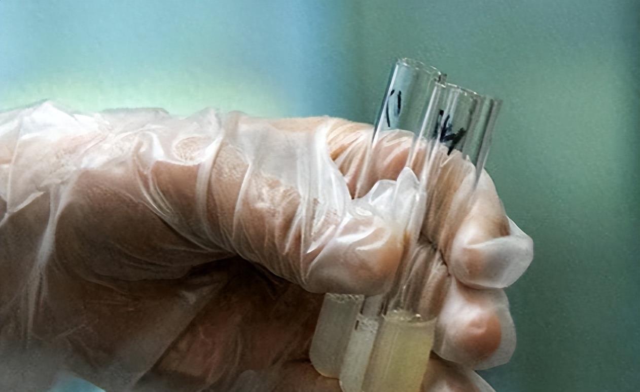 穿越时空的勇士,穿越时空的小战士