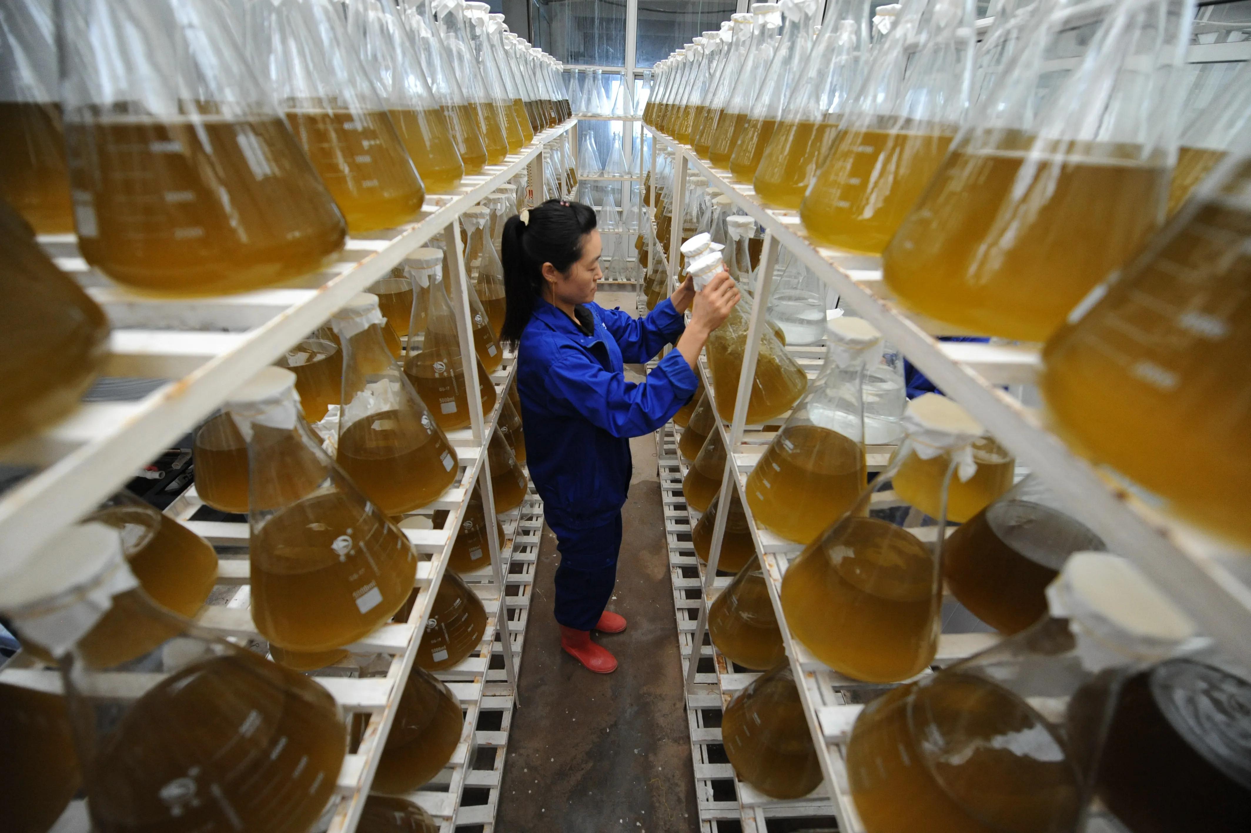 大连市属国企改革名单,重组大连国资国企改革深度解读