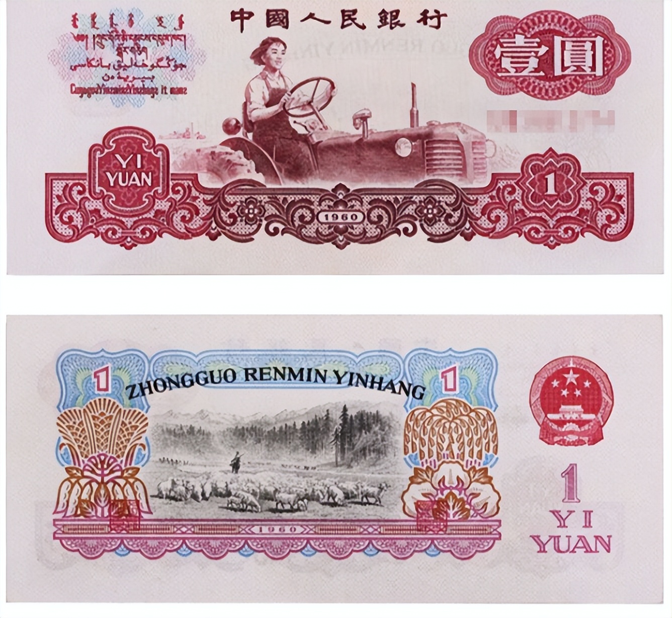 我是人民币，诞生于新中国解放前，生于战火，长于和平