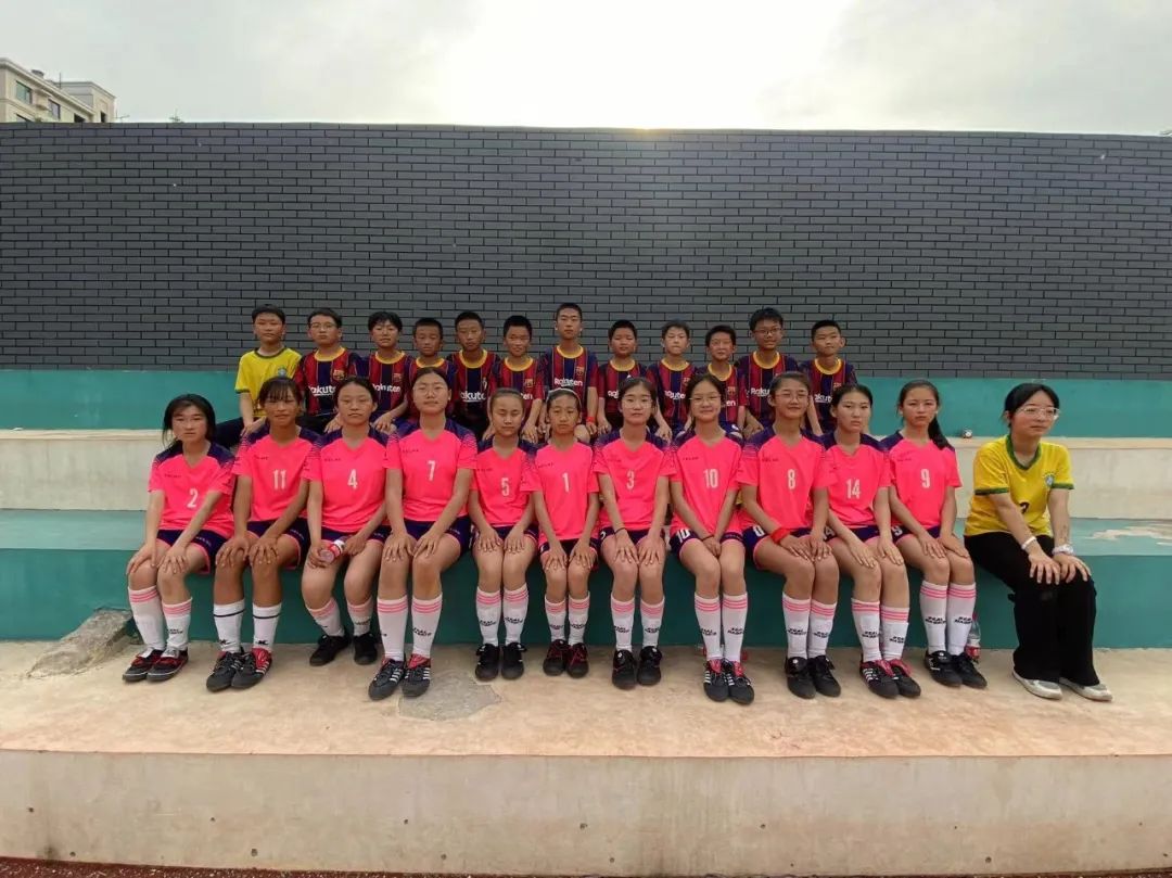 潍坊市奎文区小学足球联赛,2019潍坊小学足球联赛