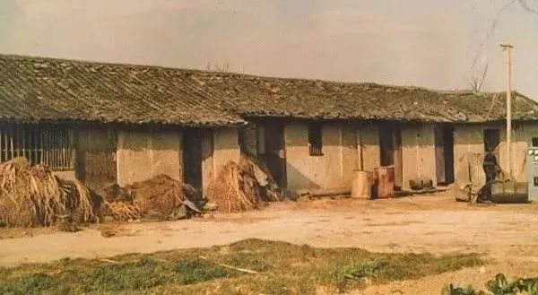 一年狂赚3300亿，恐怖的李书福