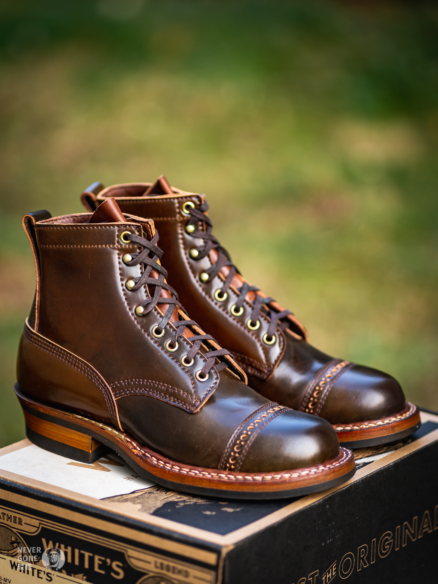 回到最初的梦想视频,回到最初的梦想爵士