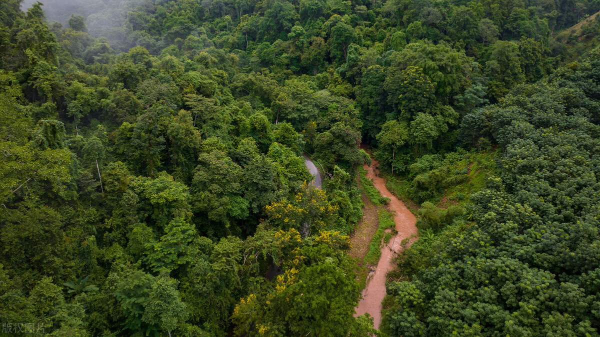 西双版纳避寒避暑的雨林仙境,西双版纳避寒度假