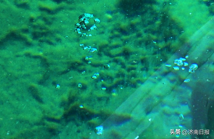 诗画名泉|珍珠泉：一泓映绮疏可以鉴须眉