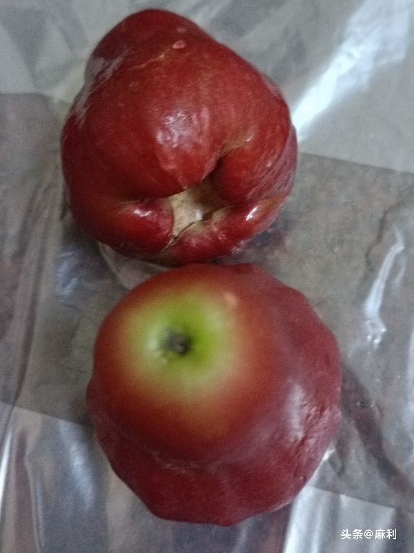 同事的妹妹做不成保姆，到我们单位做临时保洁员了