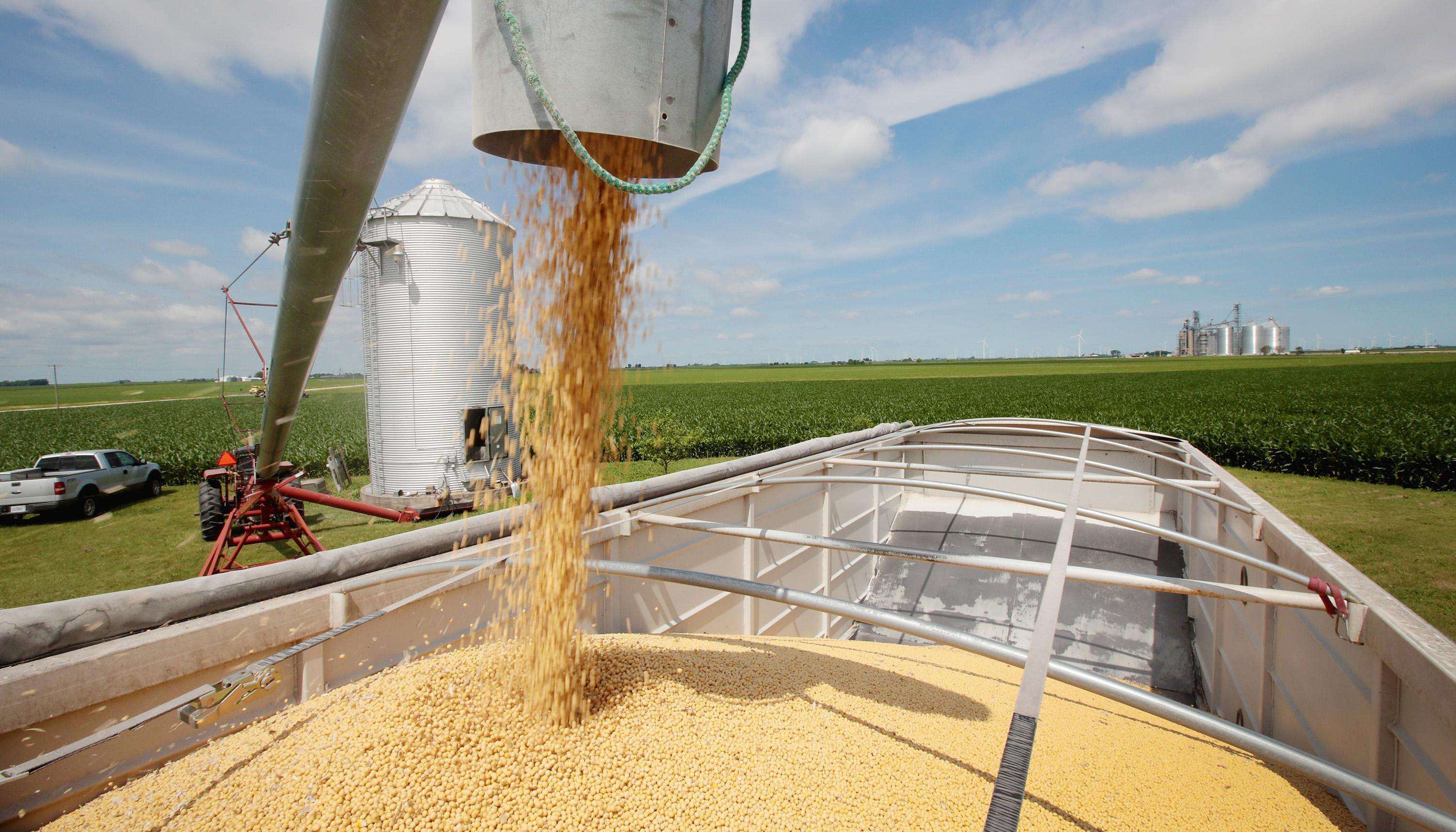 贸易额1700多亿美元,中国和巴西联手“去美元”,有什么影响?