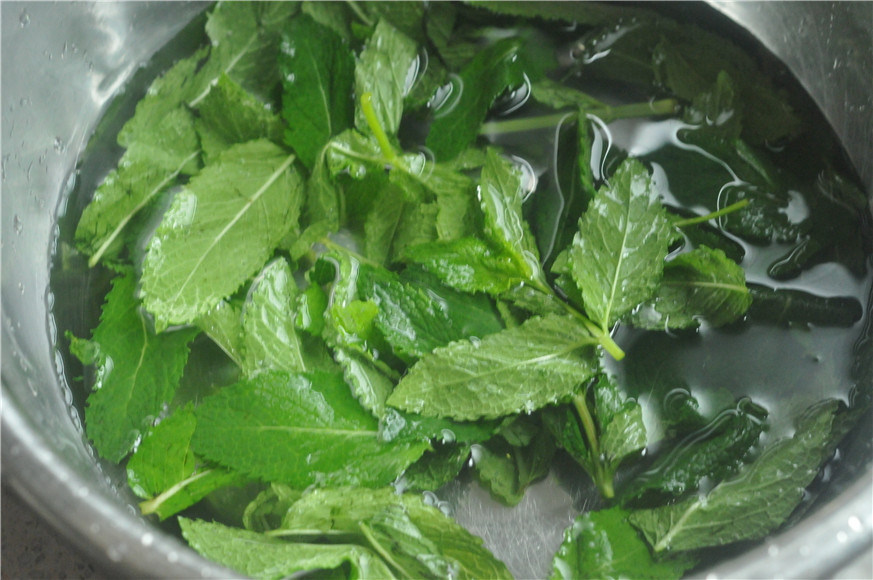 二阳来袭吃什么,二阳吃什么食物降温