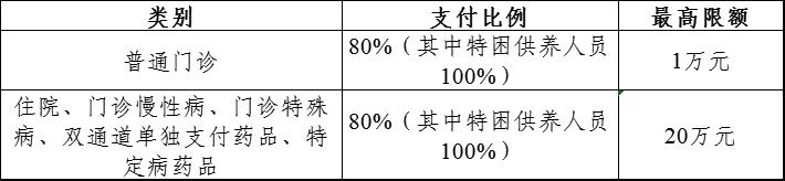 2023年度的医疗保险政策,2024职工医疗保障待遇政策