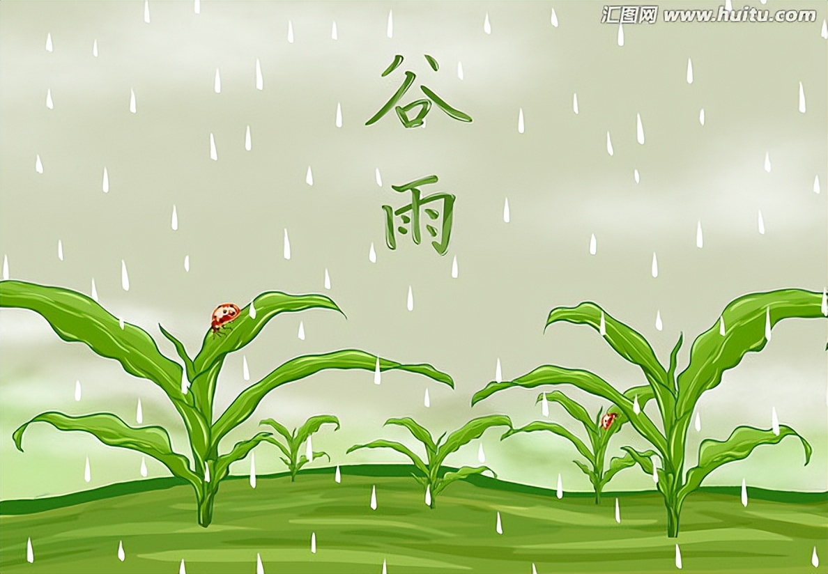 七律谷雨归来又一春,七律谷雨