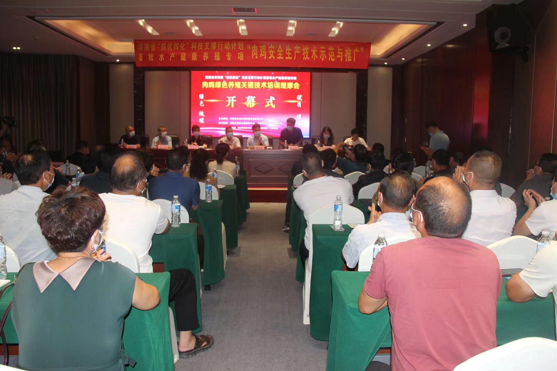 河南肉鸡养殖带动乡村振兴,扶持肉鸡标准化规模养殖场建设