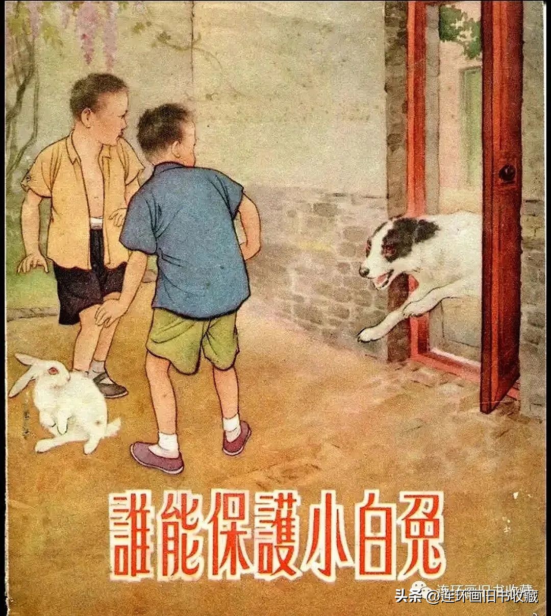 白兔和黑兔四格连环画,关于兔年的多格连环画