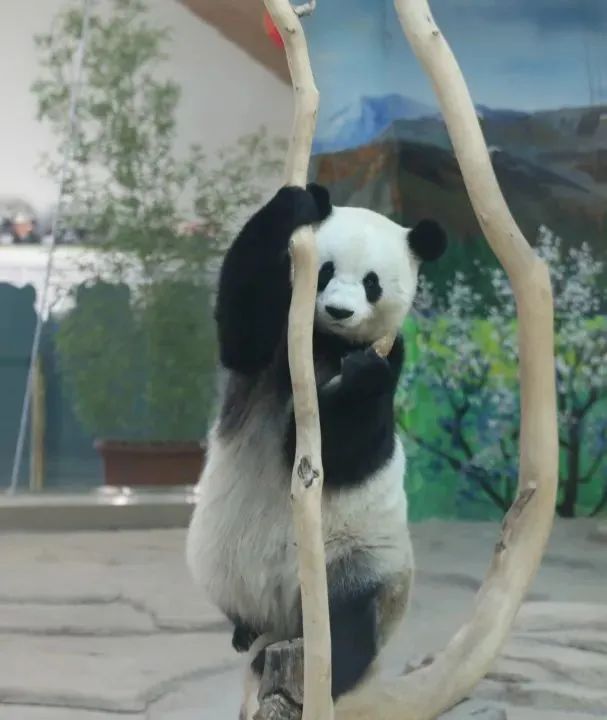 冰城夏都|拒绝宅在家，这几个周边游好去处快收藏！