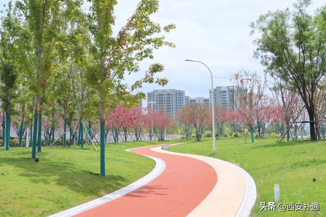 西安奥体中心音乐喷泉现在开放吗,西安奥体中心和兰州奥体中心对比