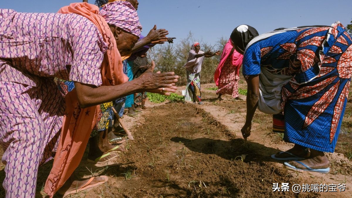 人口与北京相当，面积与*藏西**接近的尼日尔，有什么饥荒水果
