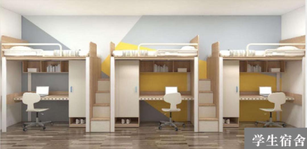 深圳双一流学校名单,深圳决定要建两所世界一流大学