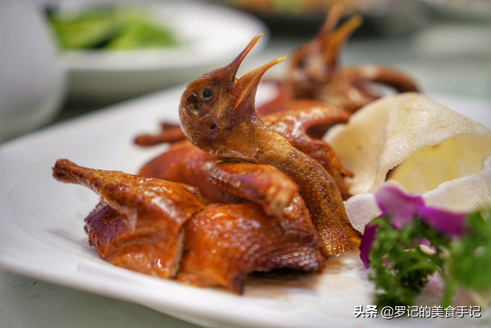 广州龙洞粤菜,广州粤菜龙洞酒楼推荐