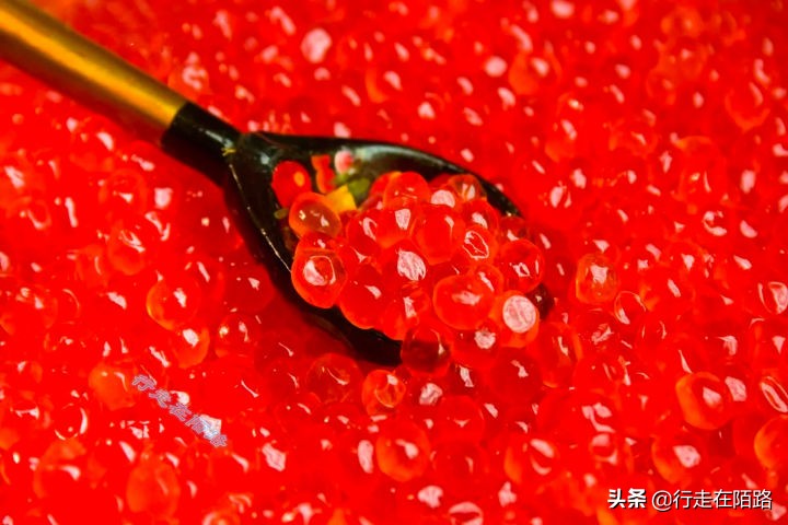 勘察加半岛土著：俄联邦视为“外邦民族”，拒绝联姻保留血统