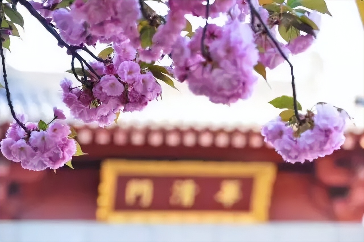 如诗如画的美景歌曲,如诗如画的曲子