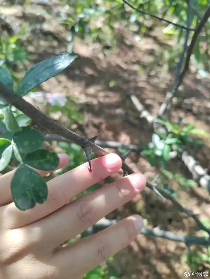 每日一笑段子,每日一笑第一期段子