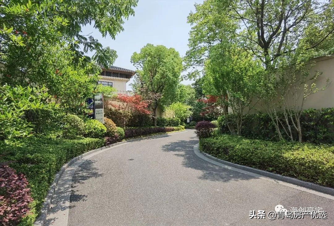 绿城玫瑰园鲜花,绿城瑰园杭州楼王