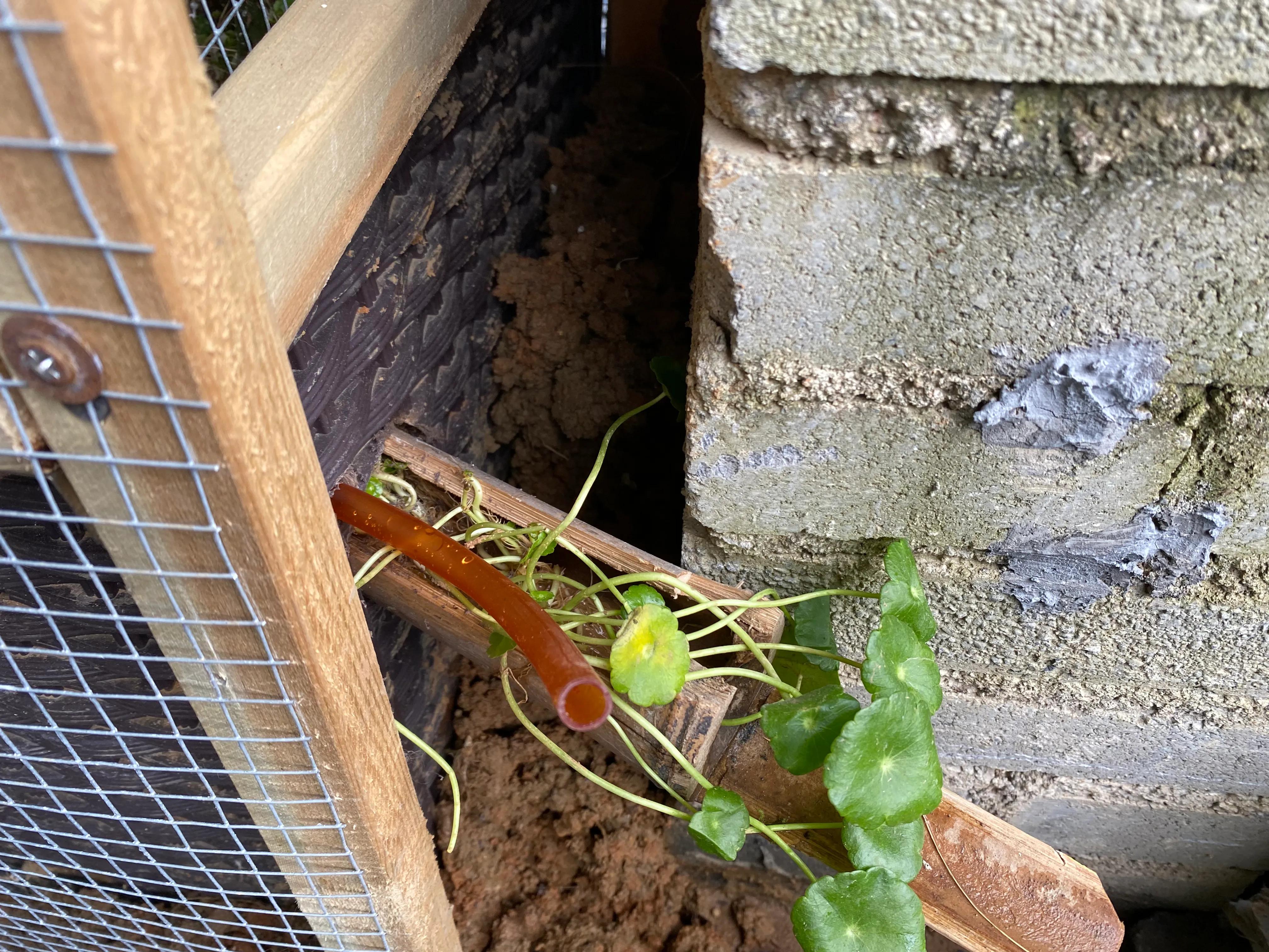 怎么快速查出水池漏水原因,水池漏水如何查漏维修