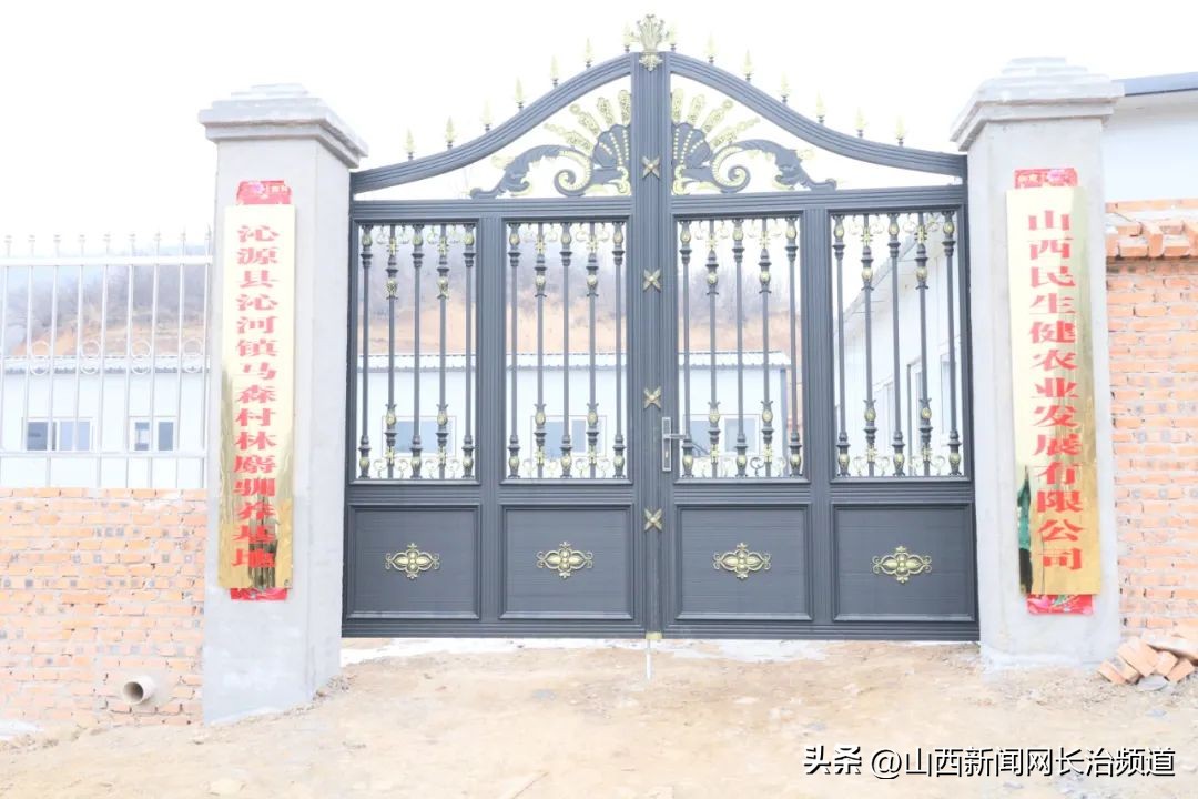 沁源县法中乡林麝养殖,沁源县沁河镇马森村林麝养殖