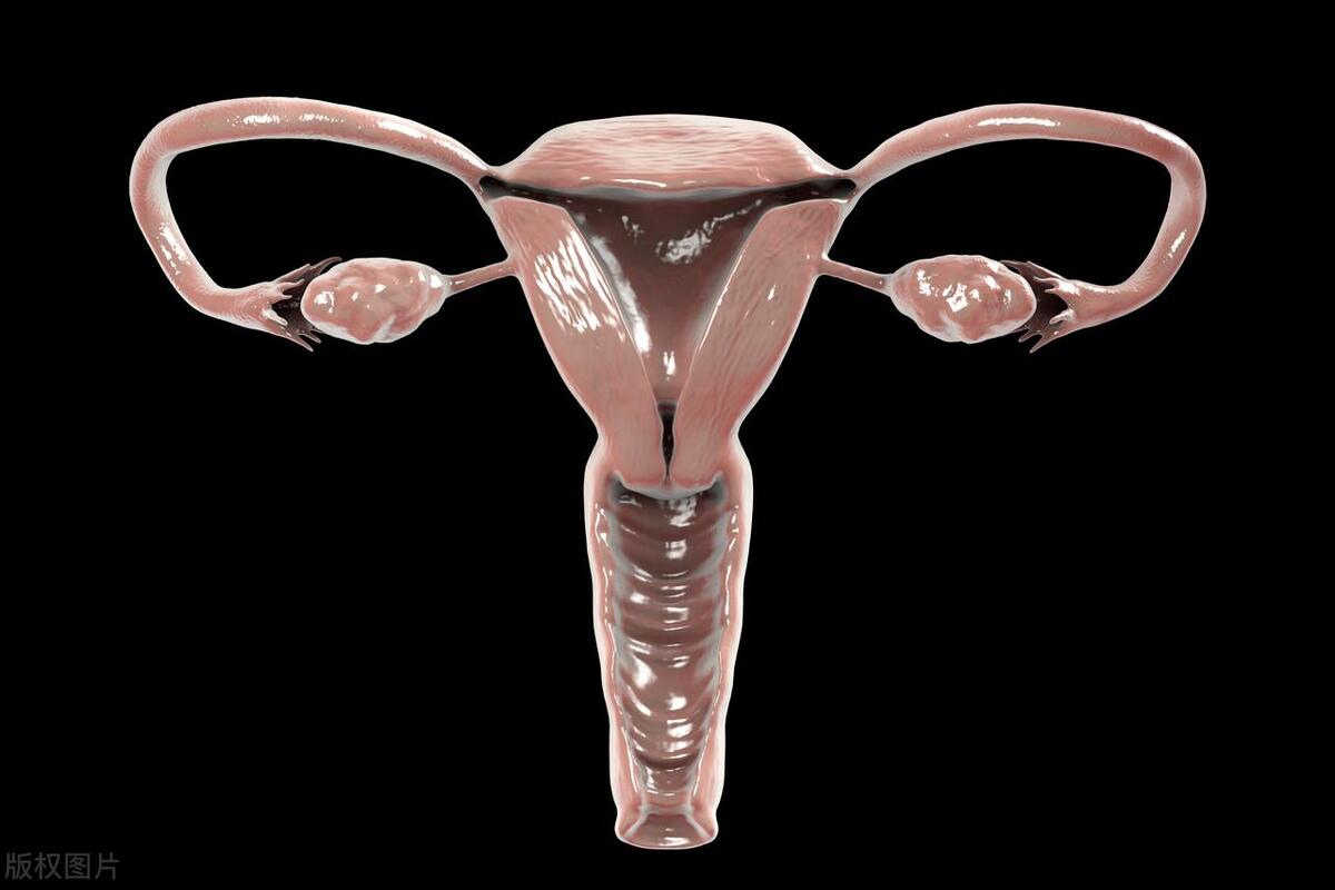 关于女生的小秘密你知道多少,关于女孩子的秘密