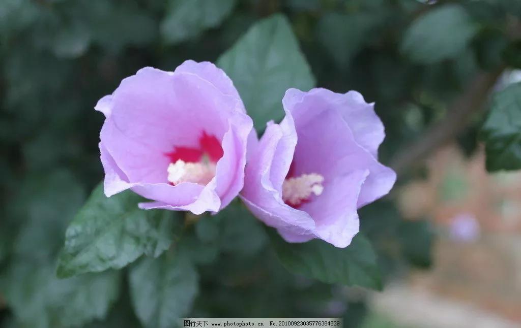 妻的周六平庸又充实